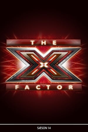 X Factor第14季