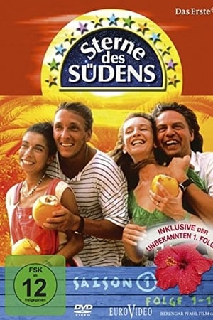 Sterne des Südens