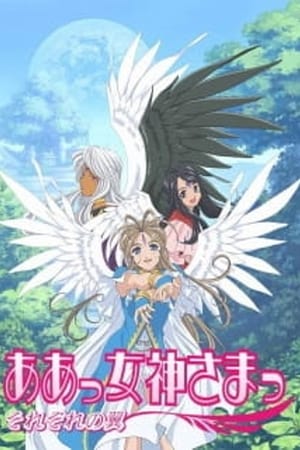 我的女神第2季