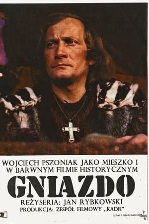 Gniazdo