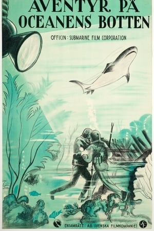 Wonders of the Sea