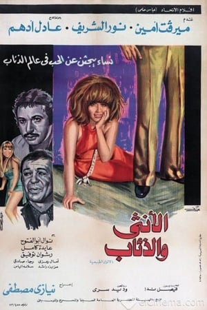 الأنثى والذئاب