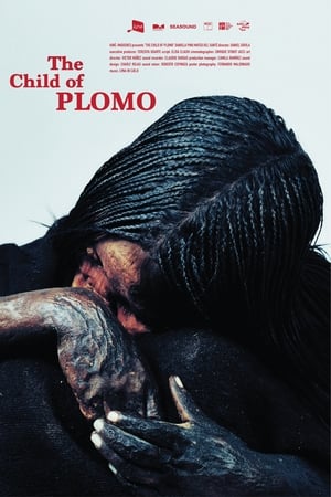 El niño del Plomo