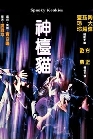 神檯貓