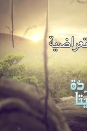 توتا و القردة شيتا