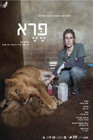 פרא
