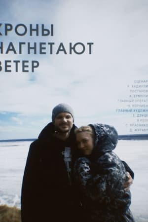 Кроны нагнетают ветер