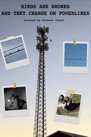 BIRDS ARE DRONES AND THEY CHARGE ON POWERLINES