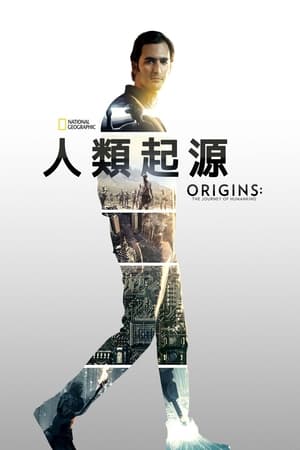 人类起源