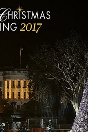 95th Annual National Christmas Tree Lighting