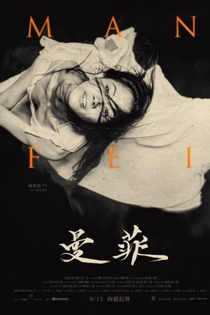 曼菲