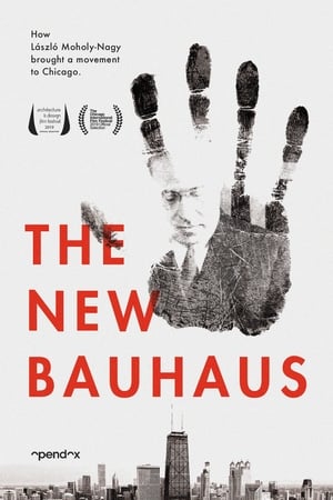 The New Bauhaus