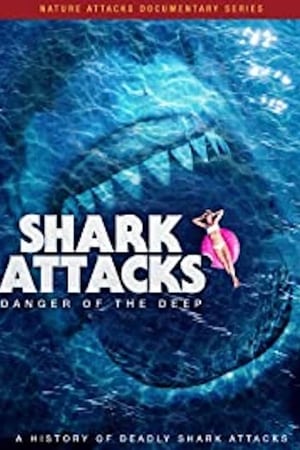 Shark Attacks