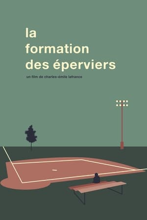 La Formation Des Éperviers