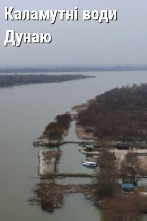Каламутні води Дунаю