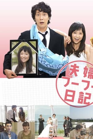 夫妇日记