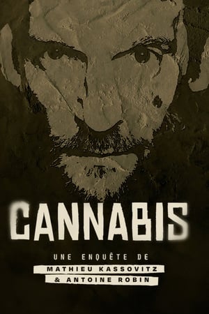 Cannabis : la série documentaire
