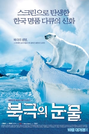 북극의 눈물