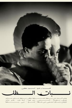 نبات الظل