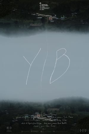 YIB