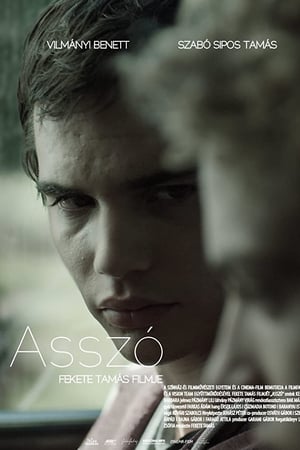 Asszó