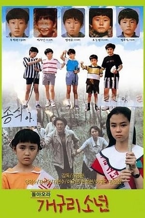 青蛙少年
