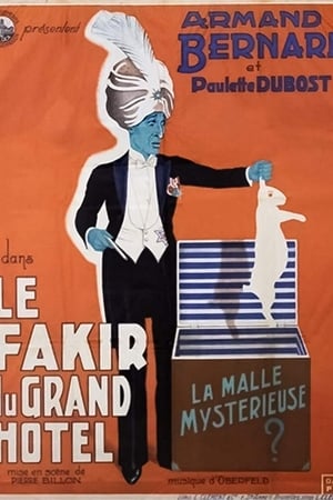 Le fakir du Grand Hôtel