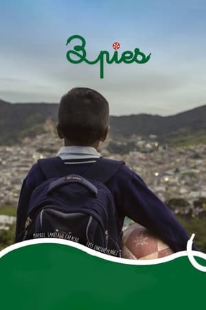3英尺