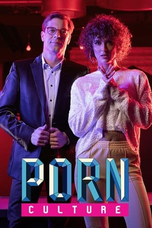 Porn Culture