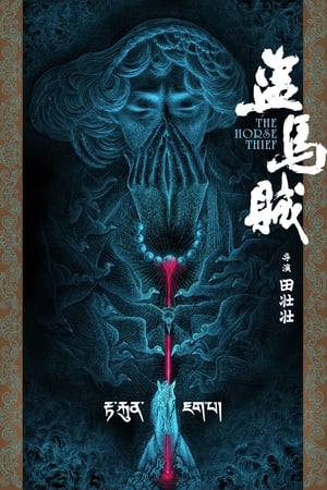 盗马贼