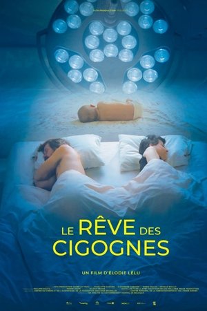 Le rêve des cigognes