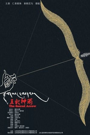 五彩神箭