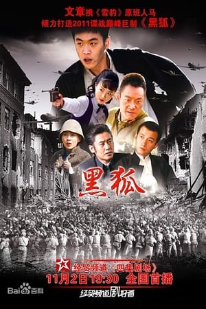 黑狐