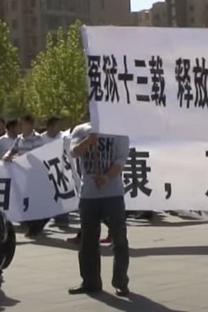 你应该能听懂我说的话