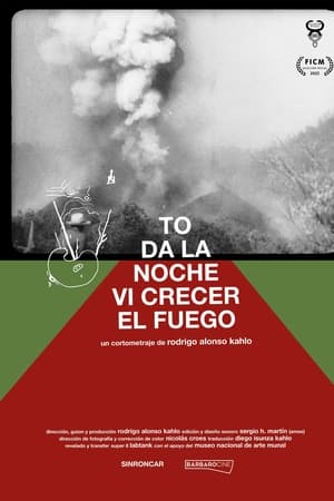 Toda la noche vi crecer el fuego