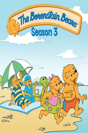 The Berenstain Bears第3季