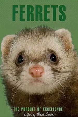 Ferrets: The Pursuit of Excellence