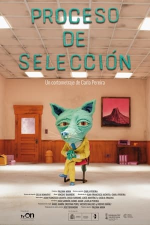 Proceso de selección