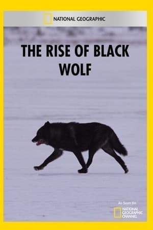 The Rise of Black Wolf