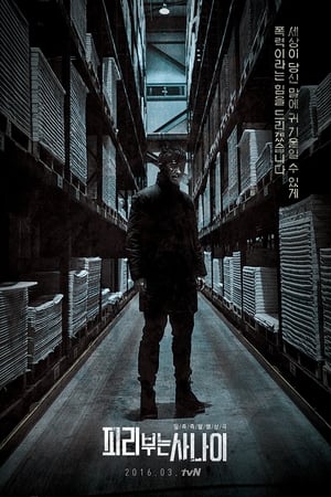 吹笛人