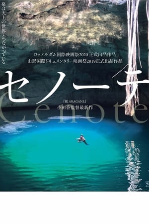 沉洞泉