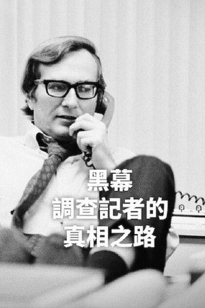 黑幕：调查记者的真相之路