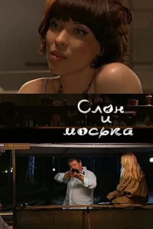 Слон и моська