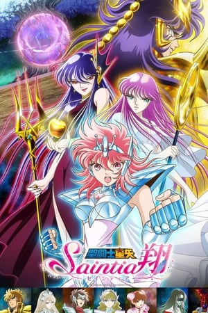 圣斗士星矢：圣斗少女翔