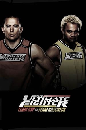 The Ultimate Fighter第12季