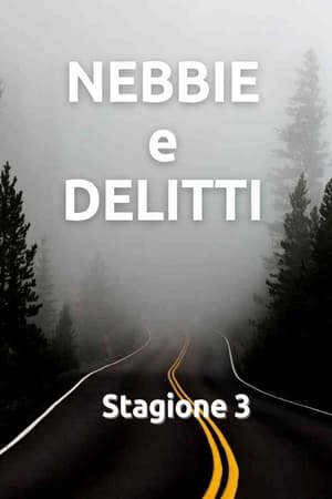 Nebbie e delitti第3季