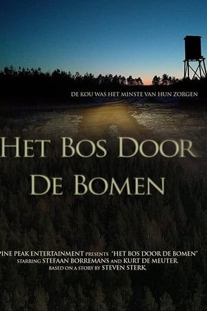 Het Bos Door De Bomen