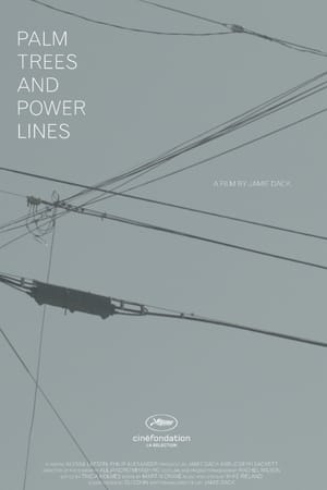 Palm Trees and Power Lines