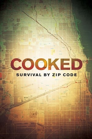 Cooked: Survival by Zip Code