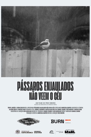 Pássaros Enjaulados Não Veem o Céu